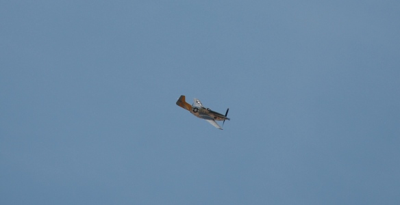 WWII reenactment_Aerial flyover by P-51D mustang_banking right_Boys Republic / Steve McQueen car&motorcycle show _June 1, 2013